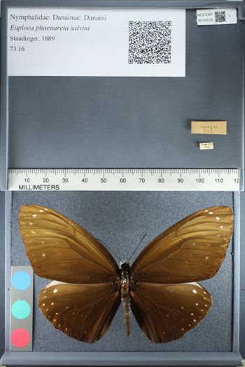 Media type: image;   Entomology 160516
